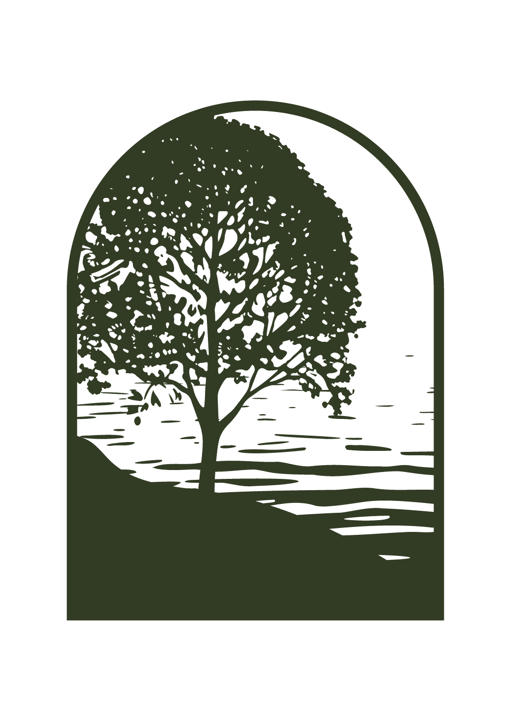Illustration of a leafy deciduous tree